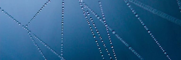 Connecting Your Contact Forms with Pipedrive API